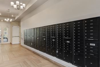 Black mailboxes